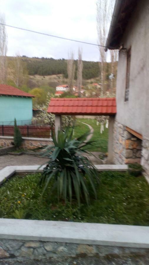 Guest House Green View 피로트 외부 사진